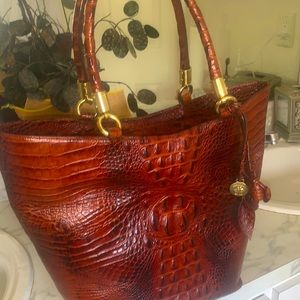 Leather Skin Brahmin Tote Bag